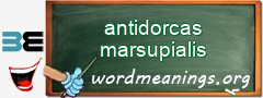 WordMeaning blackboard for antidorcas marsupialis